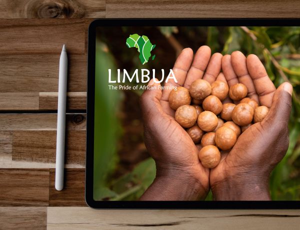 Website für Limbua Group Limited