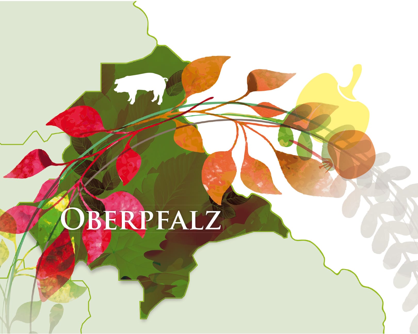 Oberpfalz Illustration für Bio-Erlebnistage