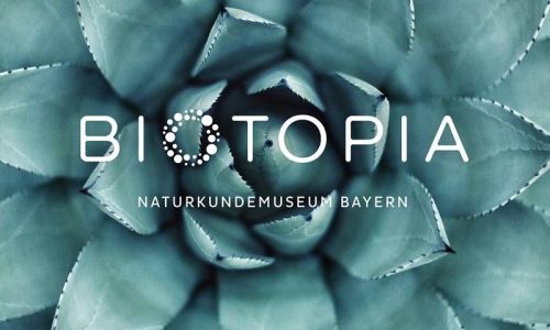 Museum Biotopia Responsive Webdesign