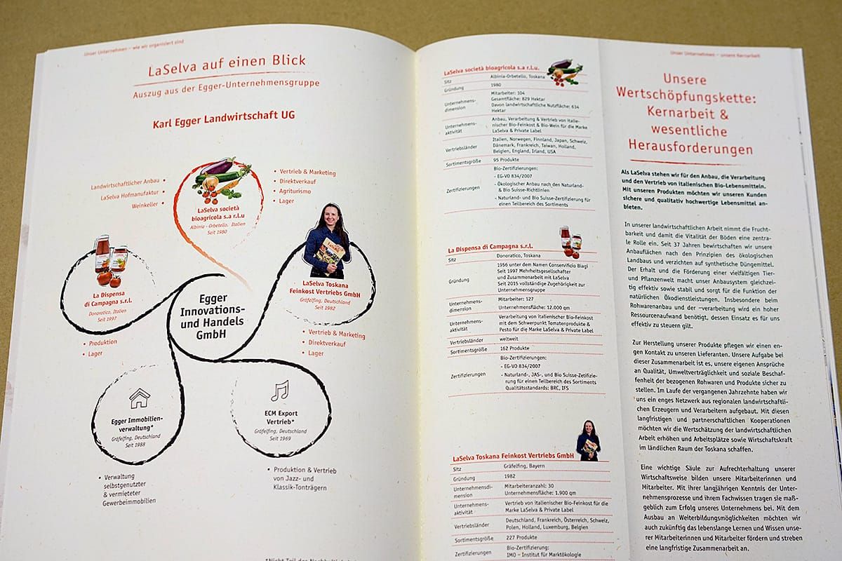 Infografik für Nachhaltigkeitsbericht