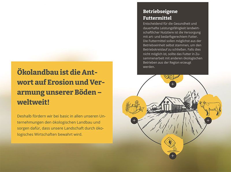 Individuelle Infografiken zu Öko-Themen