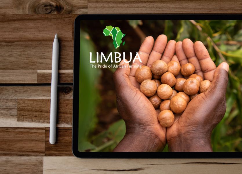 Webdesign für Limbua