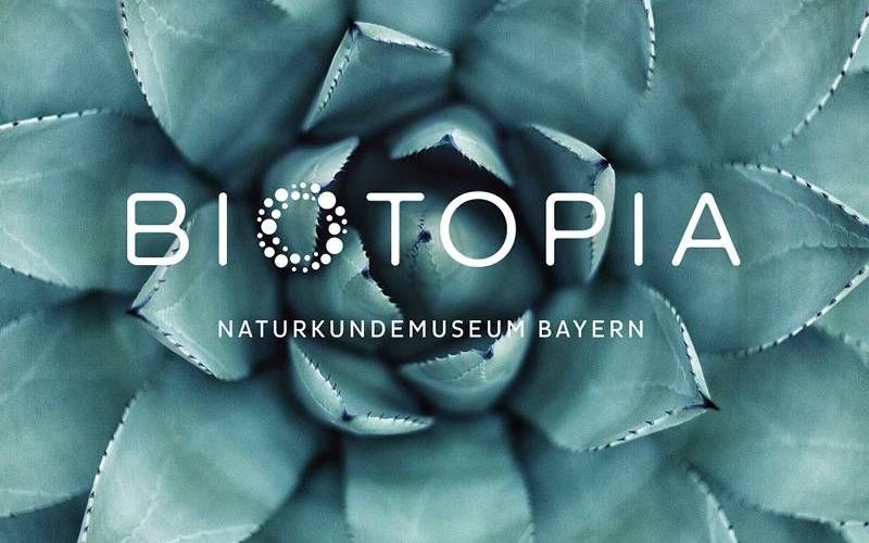Webdesign für BIOTOPIA das Naturkundemuseum Bayern